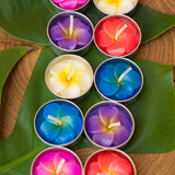 Pack 10 Plumeria Candle Tealights