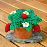 Felt Strawberry Plant