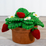 Felt Strawberry Plant