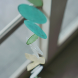 Capiz Shell Garlands - 15 Styles
