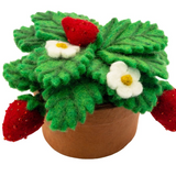 Felt Strawberry Plant