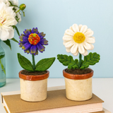 Blossom Potted Plant - 5 Styles