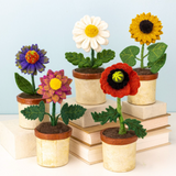 Blossom Potted Plant - 5 Styles