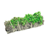 Green Sinvata Sage Bundle