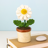 Blossom Potted Plant - 5 Styles