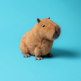 JellyCat Animal Plushes - 47 Styles