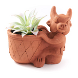 Rakshana Plant Pals - 8 Styles