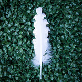 Feathers For Smudging - 3 Styles