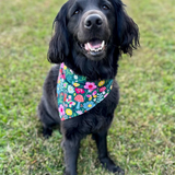 Snap-on Dog Bandana - 5 Styles/3 Sizes