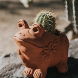 Rakshana Plant Pals - 8 Styles