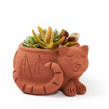 Rakshana Plant Pals - 8 Styles