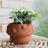 Rakshana Plant Pals - 8 Styles
