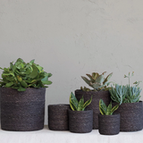 Hand-Woven Seagrass Baskets with Plastic Lining - 6 Sizes/2 Colors