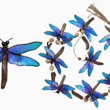 Dragonfly Driftwood Capiz Garland