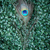 Feathers For Smudging - 3 Styles