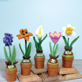 Day Lily Blossom Potted Plant