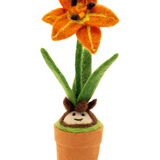 Day Lily Blossom Potted Plant