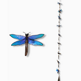 Dragonfly Driftwood Capiz Garland