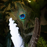Feathers For Smudging - 3 Styles