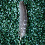 Feathers For Smudging - 3 Styles