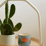 A Dopo "Flower" Candle - Cactus Flower