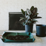 Arber Repotting Mat