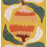 Venus Dishtowels Set of 2