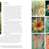 Striking Succulent Gardens: Plants and Plans for Designing Your Low-Maintenance Landscape