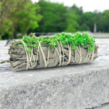 Green Sinvata Sage Bundle