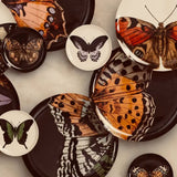 Metamorphosis Side Plates - 4 Styles