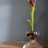 Ashby Budvases - 3 Sizes
