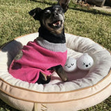 Dim Sum Pet Bed With Two Dumpling Crinkle Toys