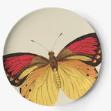 Metamorphosis Side Plates - 4 Styles