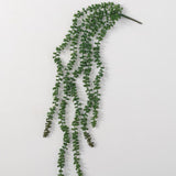 Hanging Mini Succulent