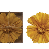 Handmade Paper Flower Wall Décor - 6 Styles