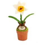 Daffodil Blossom Potted Plant