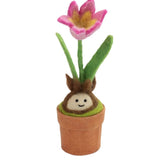 Tulip Blossom Potted Plant