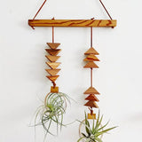 Double Dunes Air Plant Wall Hanging