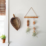 Double Dunes Air Plant Wall Hanging