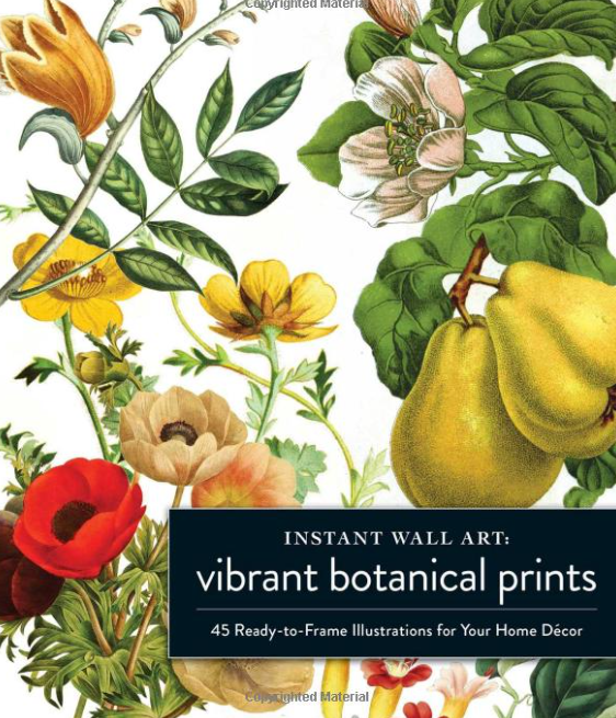 Instant Wall Art Vibrant Botanical Prints: 45 Ready-to-Frame Illustrations for Your Home Décor [Book]