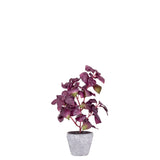 Provence Rustic Potted Faux Purple Basil Herb Plant