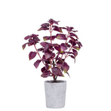Provence Rustic Potted Faux Purple Basil Herb Plant