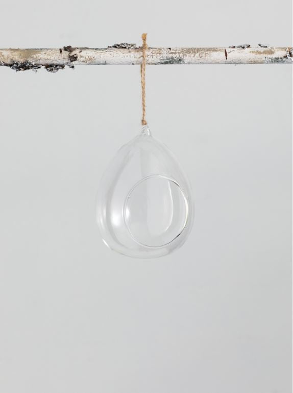Glass Hanging Terrarium