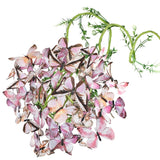 Wonderland Butterfly Globe