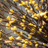 Pit Berry & Twig Garland
