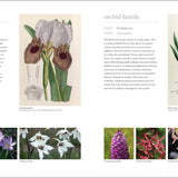 Flora: Inside the Secret World of Plants