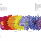 Flora: Inside the Secret World of Plants