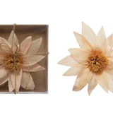 Handmade Paper Flower Wall Décor - 6 Styles