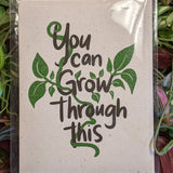 Lemongrove Wellness Greeting Cards - 36 Styles