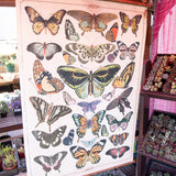 Canvas & Wood Scroll Wall Decor with Butterflies & Jute Hanger